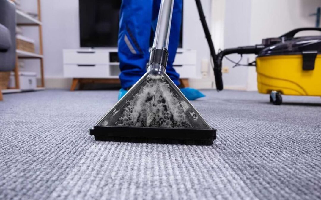 Tips for Maintaining Clean Carpets: Advice from Knoxville Carpet Care