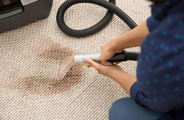 The Importance of Professional Carpet Cleaning: A Guide from Knoxville Carpet Care